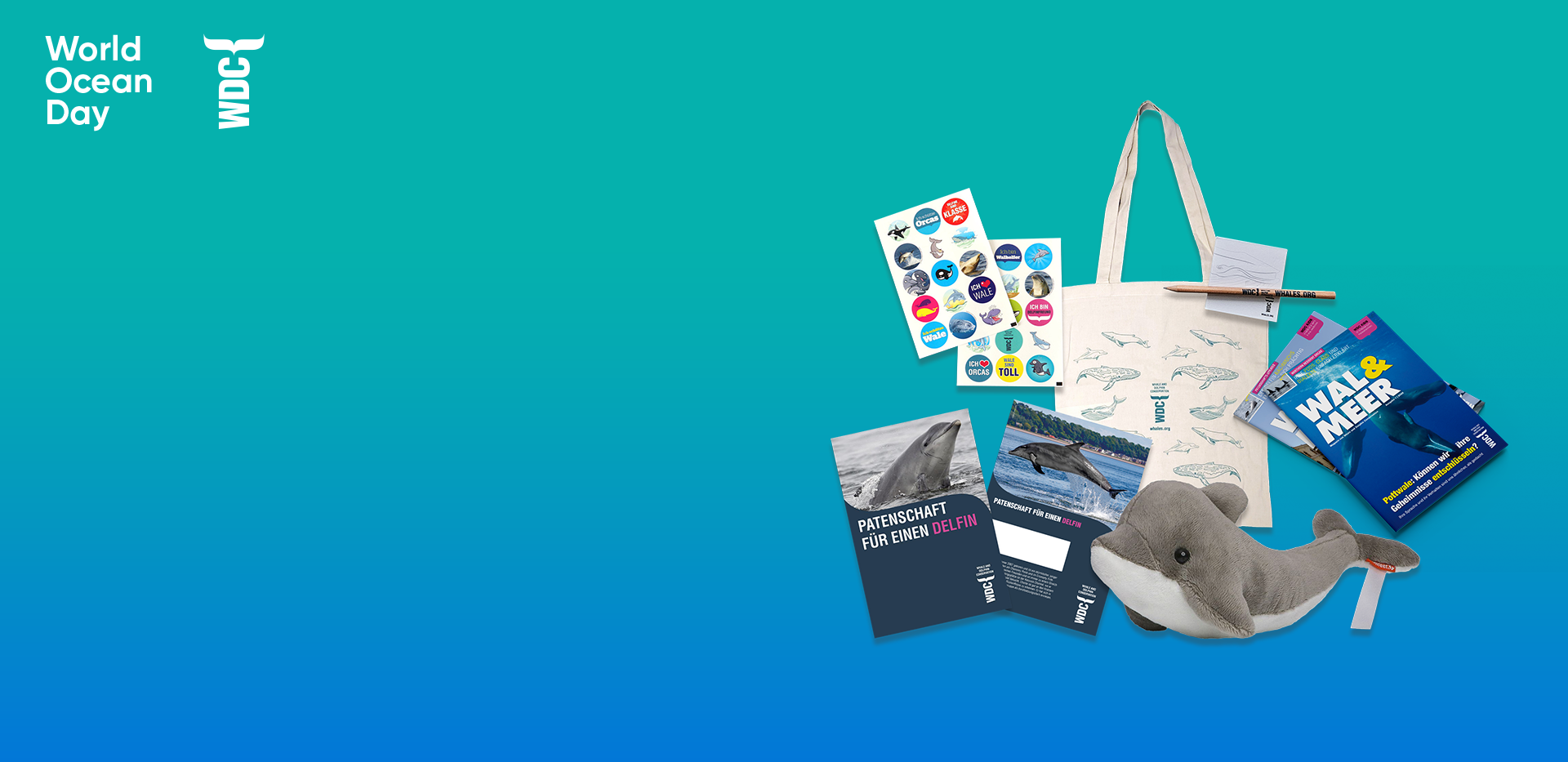 Gewinne eine Delfin-Patenschaft! (Delfine im Wasser)