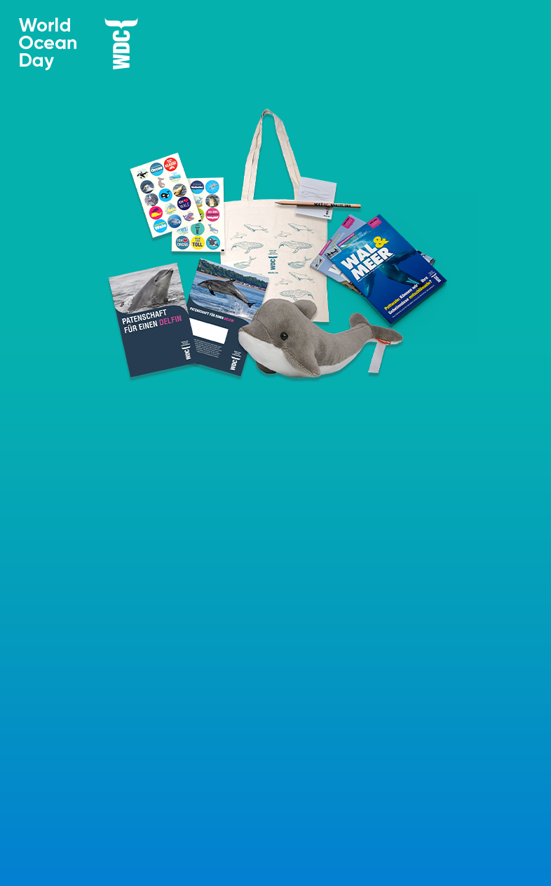 Gewinne eine Delfin-Patenschaft! (Delfine im Wasser)