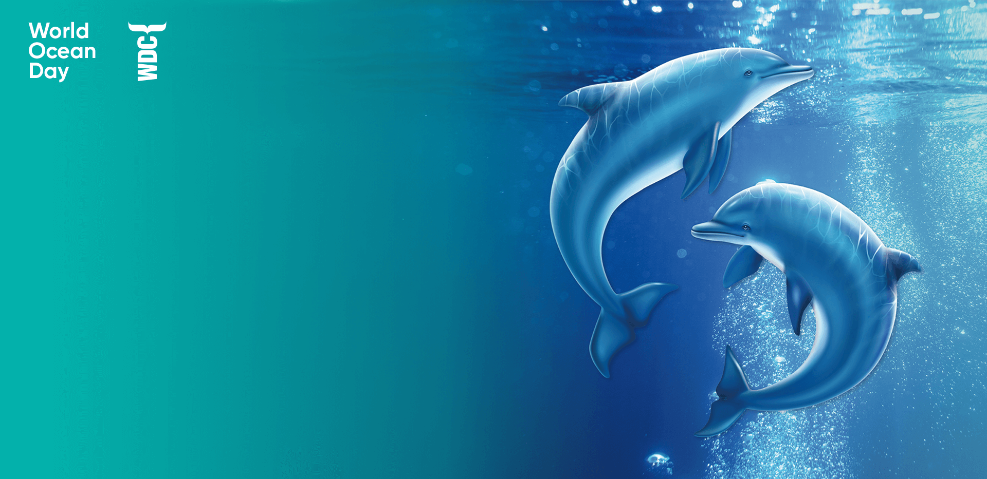 Gewinne eine Delfin-Patenschaft! (Delfine im Wasser)