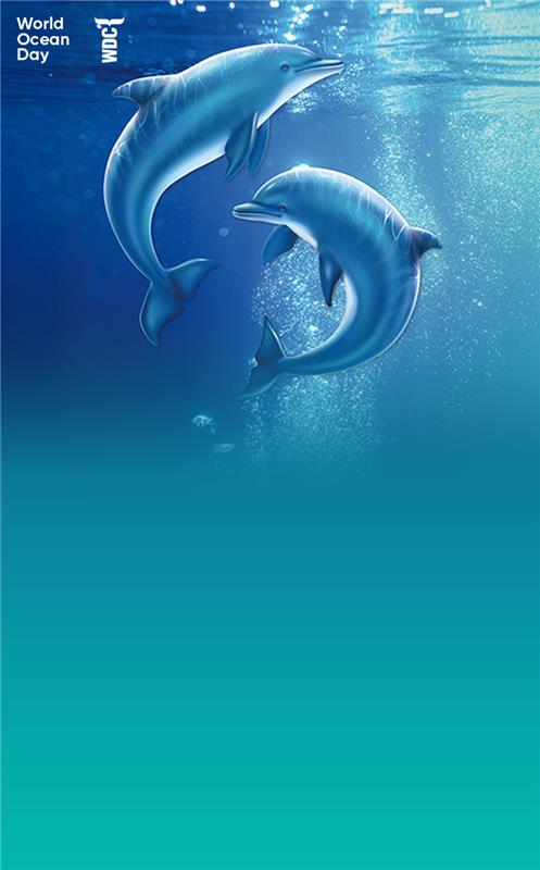 Gewinne eine Delfin-Patenschaft! (Delfine im Wasser)